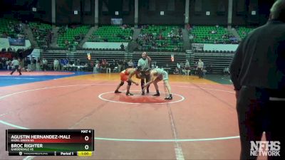 160 lbs Cons. Semi - BROC RIGHTER, Gardendale Hs vs Agustin Hernandez-Maldonado, Hazel Green HS