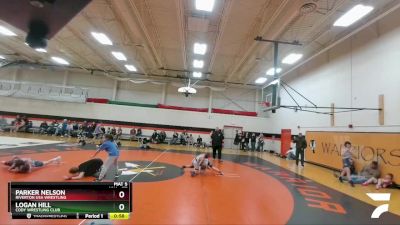 77 lbs Cons. Round 3 - Parker Nelson, Riverton USA Wrestling vs Logan Hill, Cody Wrestling Club