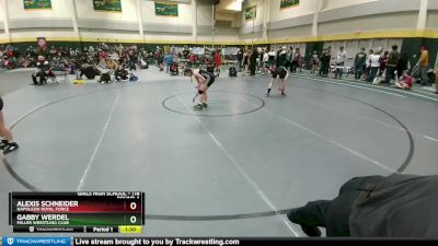 118 lbs Round 4 - Alexis Schneider, Napoleon Royal Force vs Gabby Werdel, Miller Wrestling Club