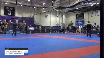 Lucas De Araujo Gomes vs Maurico Faleta Fernandes 2019 Pan IBJJF Jiu-Jitsu No-Gi Championship