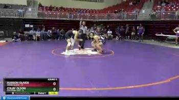 160 lbs Round 5 (8 Team) - Hudson Oliver, Grand Island vs Colby Olson, Cheyenne East