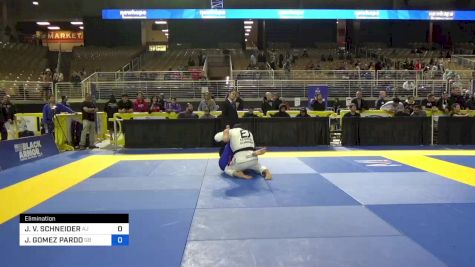 JEFFREY V. SCHNEIDER vs JAIME GOMEZ PARDO 2024 Pan Jiu Jitsu IBJJF Championship