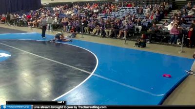 133 lbs Cons. Round 1 - Kody Kretzer, Fontbonne University vs Nolan Nguyen, Buena Vista University