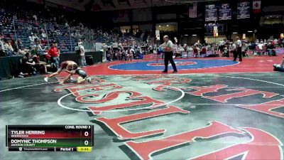 6A-113 lbs Cons. Round 3 - Domynic Thompson, Jackson County vs Tyler Herring, Woodstock