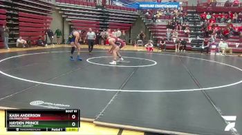 197 lbs Quarterfinal - Kash Anderson, Colorado Mesa vs Hayden Prince, Nebraska-Kearney