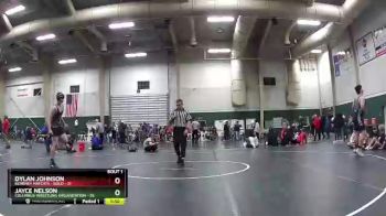 225 lbs Finals (2 Team) - Dylan Johnson, Kearney Matcats - Gold vs Jayce Nelson, Columbus Wrestling Organization