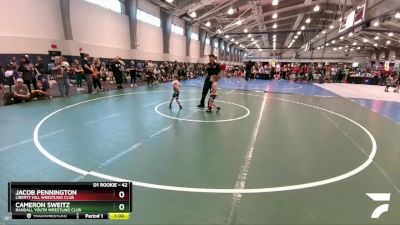 42 lbs 5th Place Match - Cameron Sweitz, Randall Youth Wrestling Club vs Jacob Pennington, Liberty Hill Wrestling Club