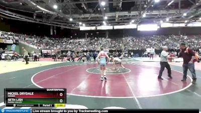 3A 98 lbs Quarterfinal - Mickel Drydale, Weiser vs Seth Lish, Marsh Valley