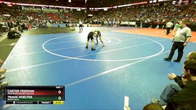 D1-126 lbs 3rd Place Match - Travis Moelter, River Falls vs Carter Freeman, Wisconsin Rapids Lincoln