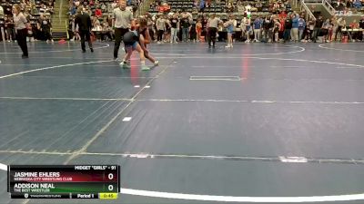 91 lbs Quarterfinal - Jasmine Ehlers, Nebraska City Wrestling Club vs Addison Neal, The Best Wrestler