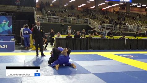 IVAN CÉSAR FALLA LECCA vs DIOGO RODRIGUES PONCIANO FREITAS 2024 Pan Jiu Jitsu IBJJF Championship