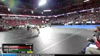 D2-126 lbs 3rd Place Match - Ostin Blanchard, Campbellsport vs Derek Zschernitz, Neillsville/Greenw./Loyal