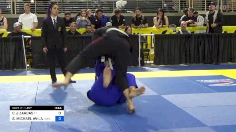 CHRISTOPHER J ZARDAS vs STEVEN MICHAEL AVILA 2024 Pan Jiu Jitsu IBJJF Championship
