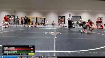 106 lbs Round 1 (3 Team) - Cooper Foster, Prestige Worldwide vs Alex Allison, Palmetto State Blue