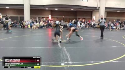 100 lbs Quarterfinal - Seaborn Bradley, DeHart Academy vs Bryson Ricker, Greeneville Wrestling