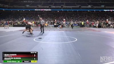 D1-215 lbs Champ. Round 1 - Sean O`Keefe, Brighton HS vs Brandon Glisson, Davison HS