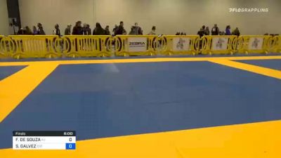 FABIANO DE SOUZA vs STEVEN GALVEZ 2020 Atlanta International Open IBJJF Jiu-Jitsu Championship