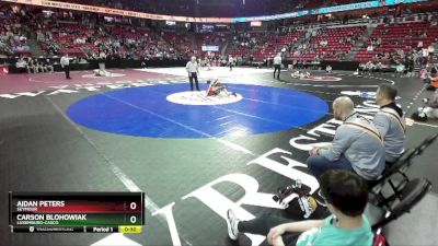 D2-113 lbs Cons. Round 1 - Aidan Peters, Seymour vs Carson Blohowiak, Luxemburg-Casco