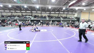 182 lbs 3rd Place - Anthony Fernandez, Nashua South vs Matthew Walsh, Bedford/AB