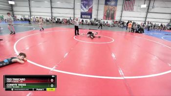 84 lbs Rd# 4- 2:00pm Friday Final Pool - Corbyn Weiss, Crass Trained vs Teo Triscaro, Terps Xtreme