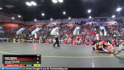 190 lbs Semifinals (8 Team) - Ethan Collins, Dundee HS vs Troy Demas, Constantine HS