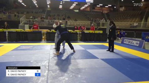 MICHAEL THOMAS LEE vs RICHARD DAVID PAPKEY 2024 Pan Jiu Jitsu IBJJF Championship