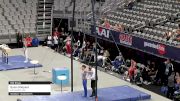 Dylan Shepard - Still Rings, Gymnastics USA - 2021 US Championships