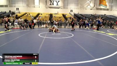 138 lbs Cons. Round 5 - Trystan Haywood, Anarchy Wrestling vs Ewan Celestine, Club Not Listed