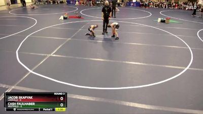 56 lbs Round 3 (4 Team) - Jacob Skapyak, Lakeville vs Cash Faulhaber, Westfield