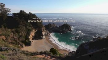 Replay: home - 2025 adam-webrtc-251110 | Nov 10 @ 11 AM