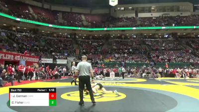 D2-138 lbs Quarterfinal - Josh Carman, Carrollton vs C.J. Fisher, Clyde