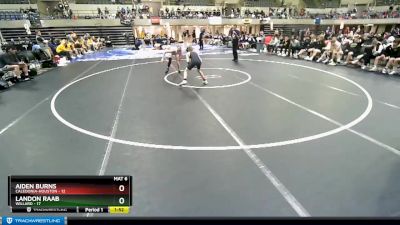 106 lbs Round 2 (4 Team) - Aiden Burns, Caledonia-Houston vs Landon Raab, Willard