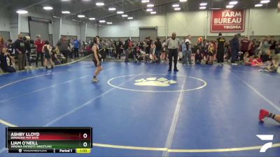 74 lbs Champ. Round 2 - Ashby Lloyd, Dinwiddie Mat Rats vs Liam O`Neill, Virginia Patriots Wrestling