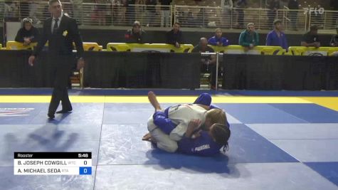 BRANDON JOSEPH COWGILL vs AARON MICHAEL SEDA 2024 Pan Jiu Jitsu IBJJF Championship
