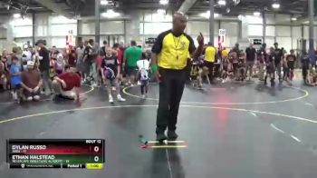 82 lbs Finals (8 Team) - Ethan Halstead, No Escape Wrestling Academy vs Dylan Russo, ARES