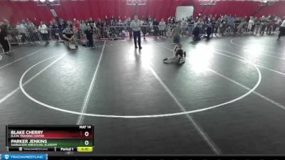 53 lbs 3rd Place Match - Blake Cherry, B.A.M. Training Center vs Parker Jenkins, Sarbacker Wrestling Academy