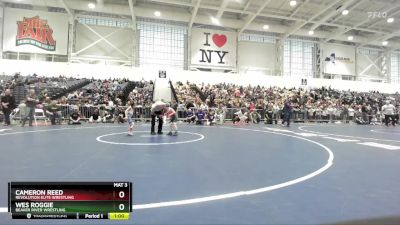 41 lbs Semifinal - Wes Roggie, Beaver River Wrestling vs Cameron Reed, Revolution Elite Wrestling