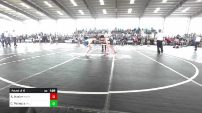 113 lbs Round Of 16 - Alex Norby, Warhammer6 vs Cruz Vallejos, Valley Bad Boys