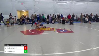 54 lbs Consolation - Vincenzo Destefano, Charleroi vs Logan Ritchey, York