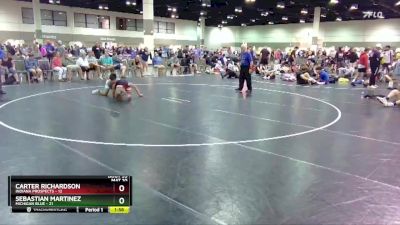 160 lbs Placement Matches (16 Team) - Carter Richardson, Indiana Prospects vs Sebastian Martinez, Michigan Blue