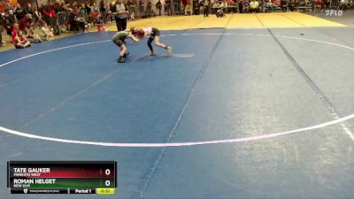 64 lbs Champ. Round 1 - Tate Gauker, Mankato West vs Roman Helget, New Ulm