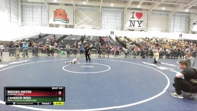 38 lbs Round 3 - Cameron Reed, Revolution Elite Wrestling vs Brooks Mister, Club Not Listed