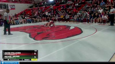 126 lbs Placement Matches (8 Team) - Michael Gryder, North Forsyth vs Jacob Stellhorn, South Effingham