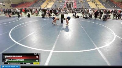 117 lbs Quarterfinal - Brogan Bingham, ID vs Michael Alexander, MN