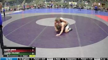 147 lbs Round 1 (4 Team) - Austin Abbas, Redmond vs Gabriel Maloney, Summit