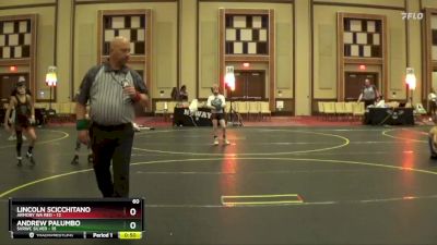 60 lbs Semis & 1st Wrestleback (8 Team) - Andrew Palumbo, SVRWC Silver vs Lincoln Scicchitano, Armory WA Red