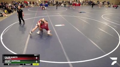 220 lbs Quarterfinal - Henry Hoffman, Minnesota vs Caleb Kurtti, Minnesota