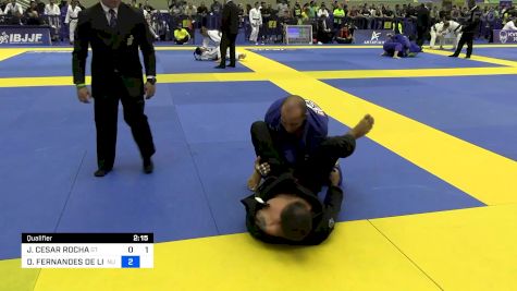 JÚLIO CESAR ROCHA vs DACIO FERNANDES DE LIMA 2024 Brasileiro Jiu-Jitsu IBJJF