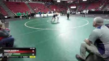 D2-285 lbs Champ. Round 1 - Mason Baribeau, Baldwin-Woodville vs Matthew Janssen, Little Chute