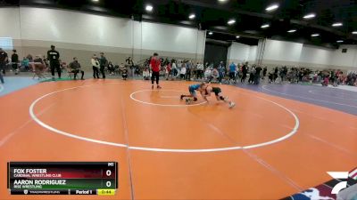 92 lbs Cons. Semi - Fox Foster, Cardinal Wrestling Club vs Aaron Rodriguez, Rise Wrestling